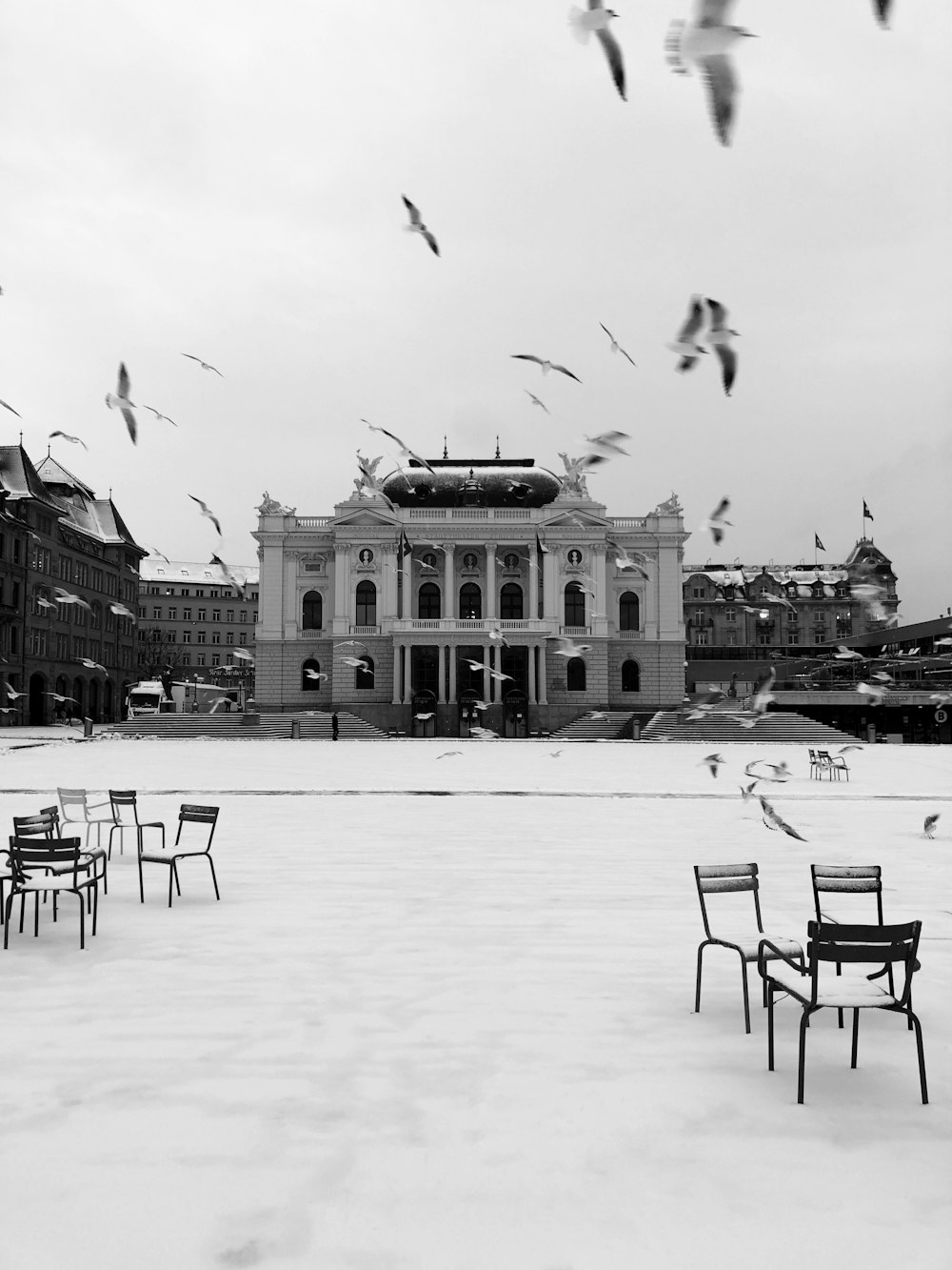 grayscale photo of building and flock of birds