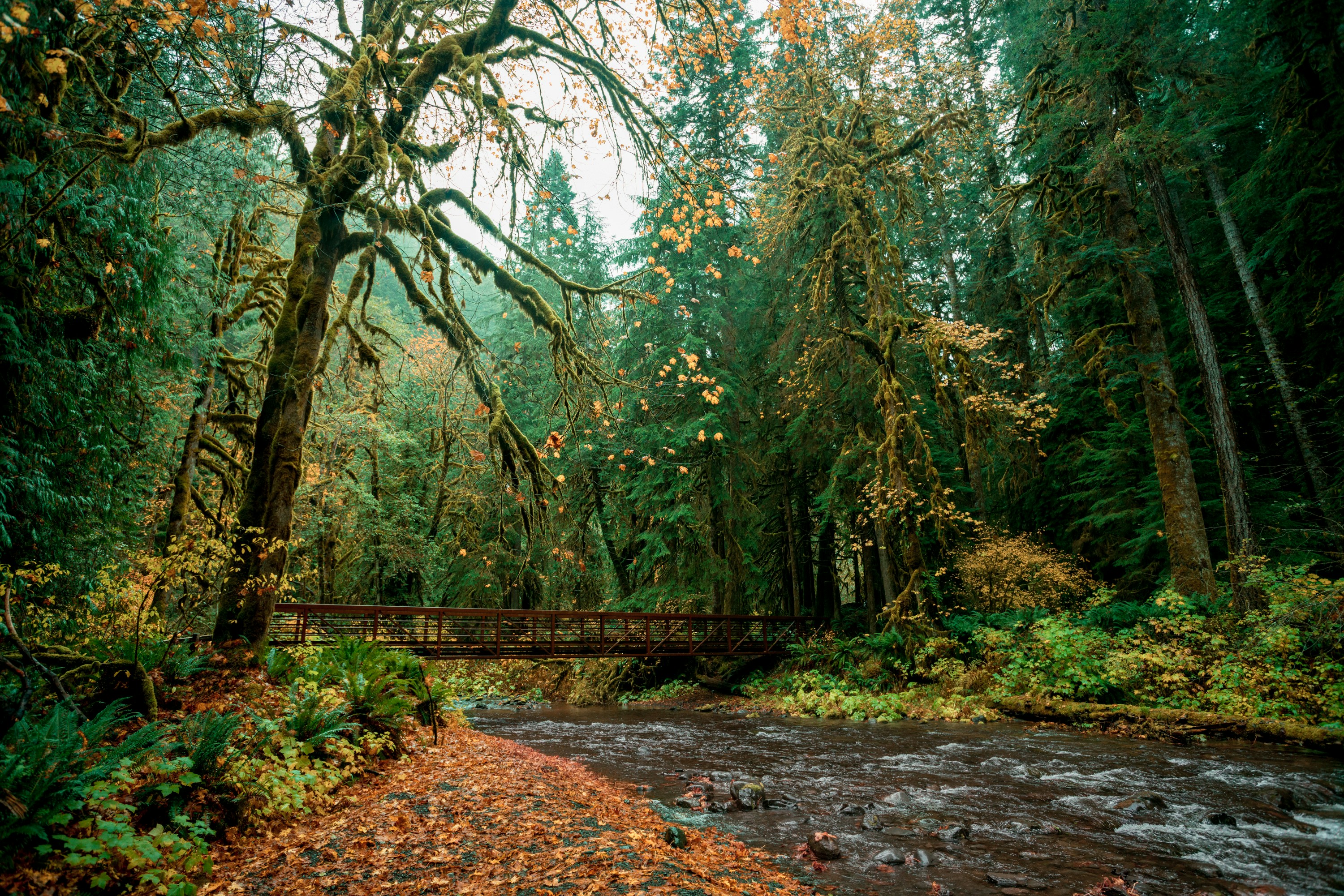 Photo by davidkingnfs