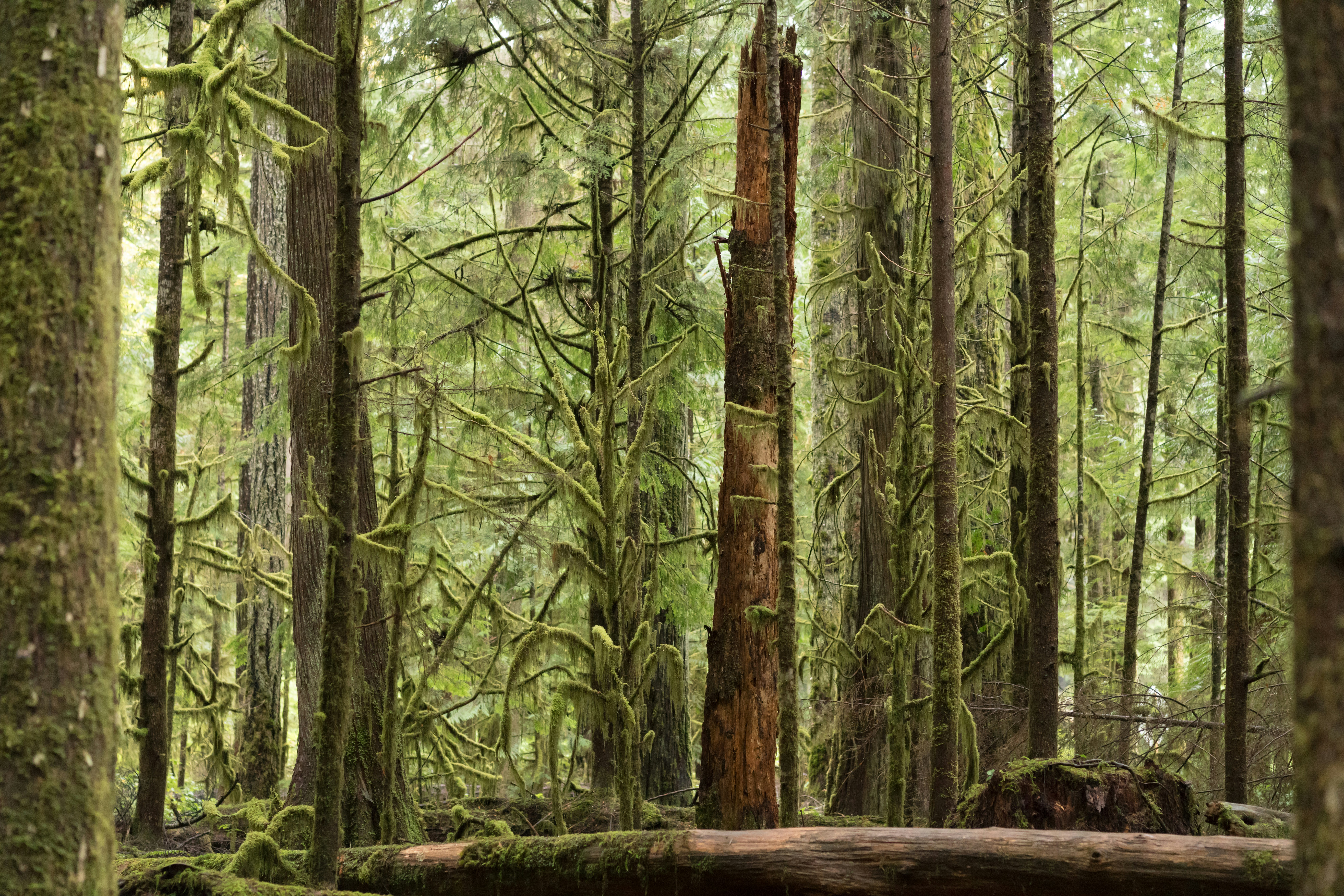 Photo by davidkingnfs