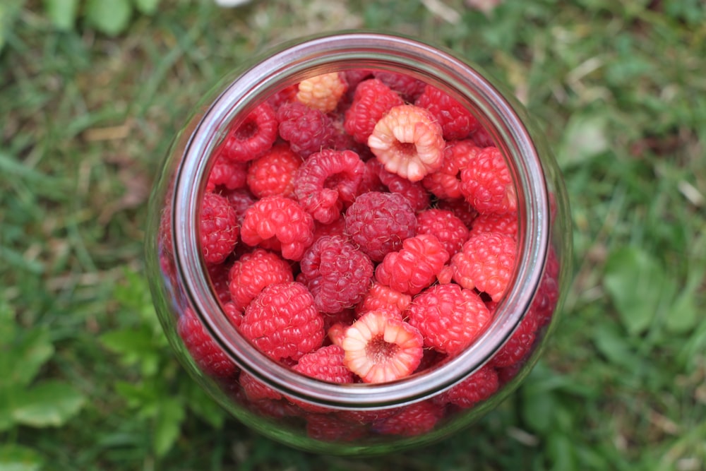 Fraises rouges dans un bocal en verre transparent