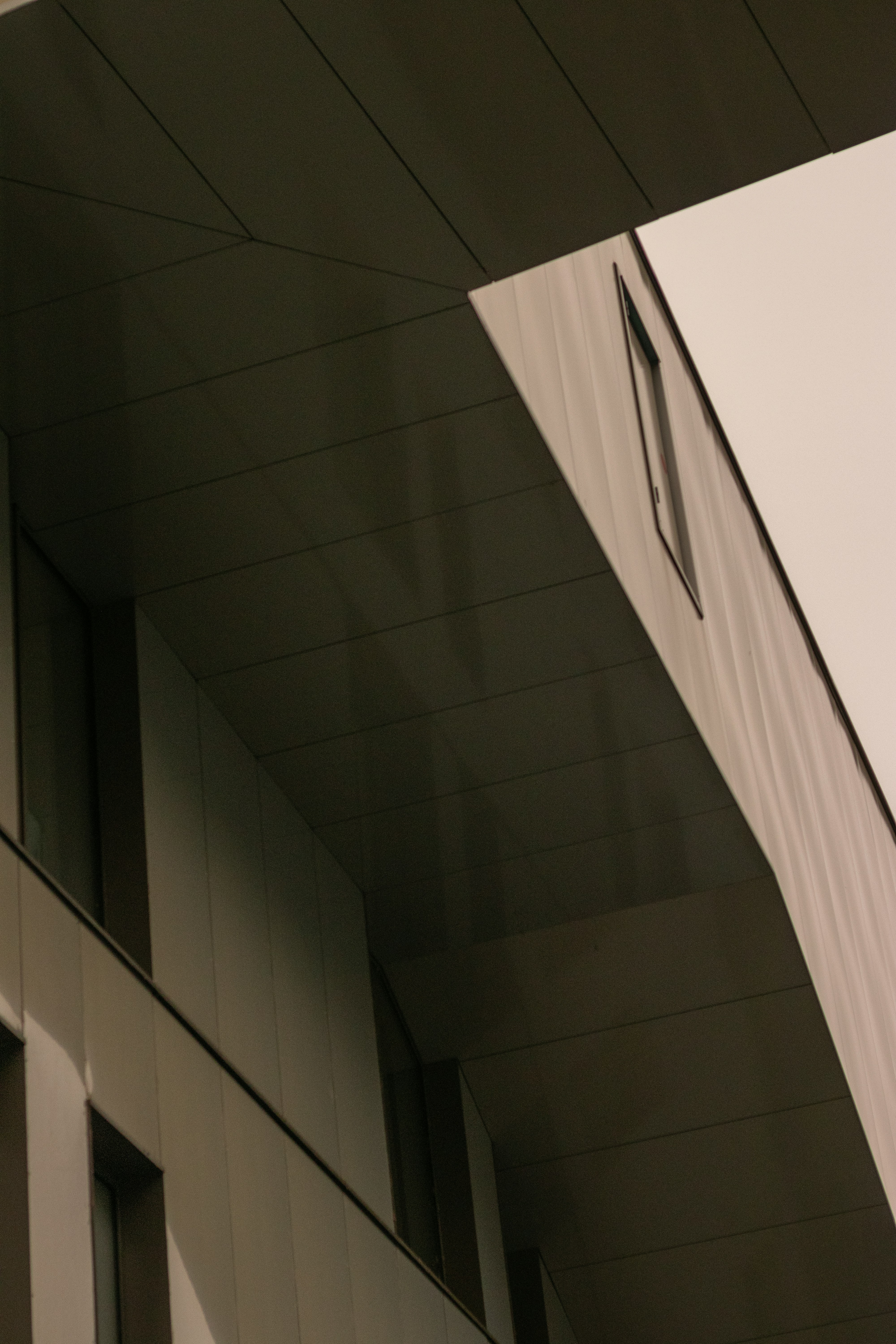 photo-1613030801466-02f7de422fe7?ixid=M3wxMjA3fDB8MXxzZWFyY2h8MjB8fGJhdXhpdGF8ZW58MHx8fHwxNzY5NDU1NTQ4fDA\u0026ixlib=rb-4.1.0