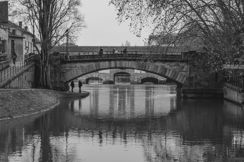 grayscale photo of bridge over river