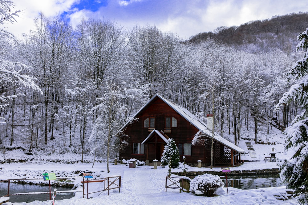 brown wooden house surrounded by trees covered by snow under blue sky