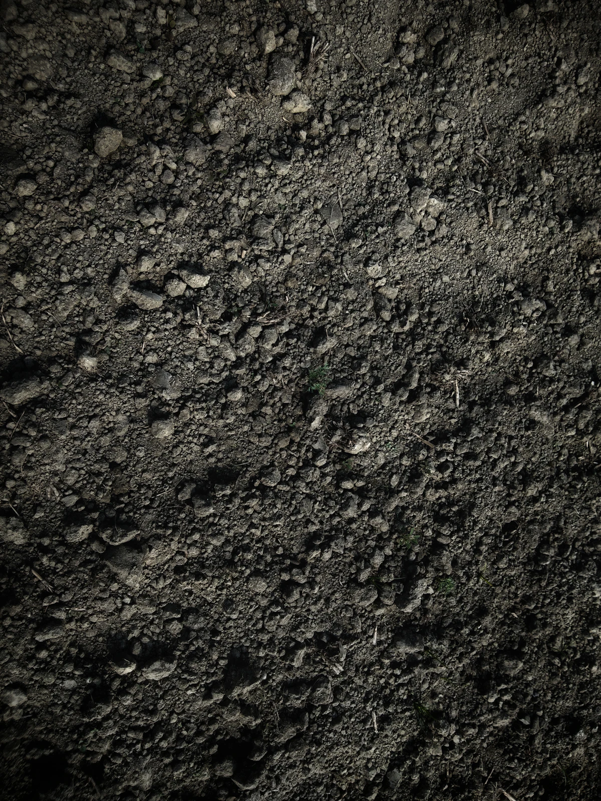 Dark brown soil with clods and small stones in a cultivated field