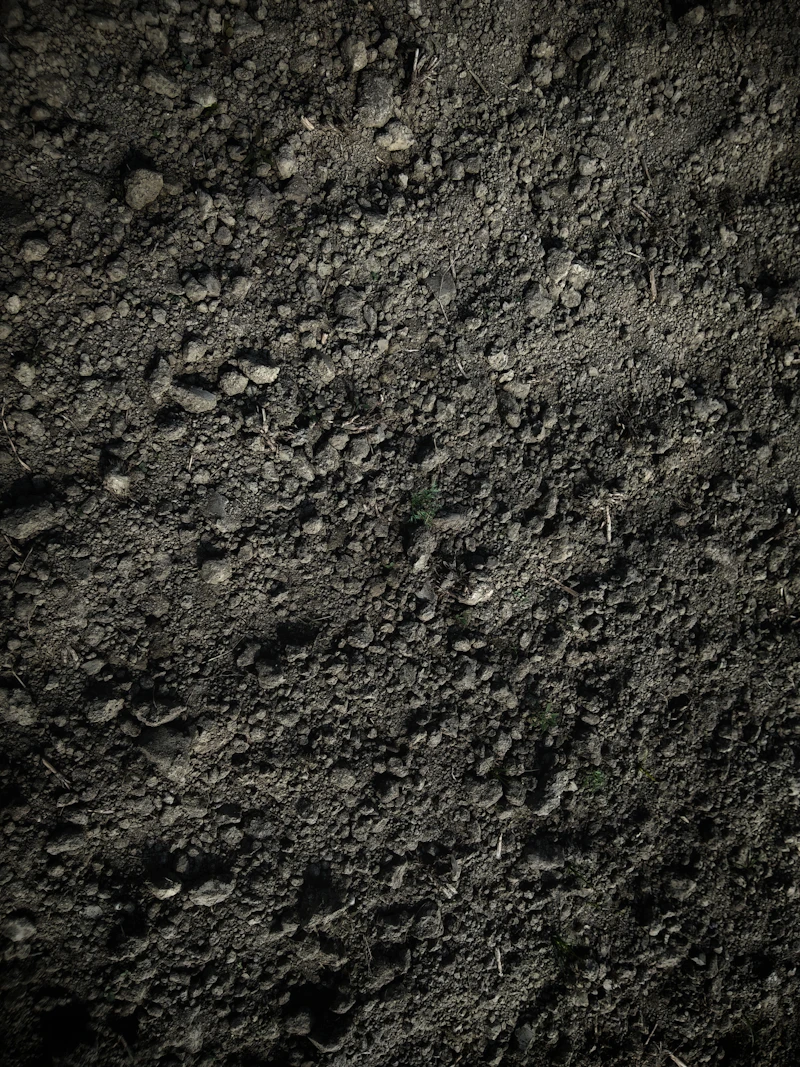 Poultry Organic Manure