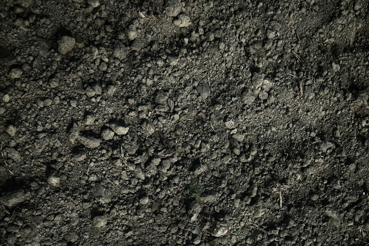 Close-up of dark, crumbly soil