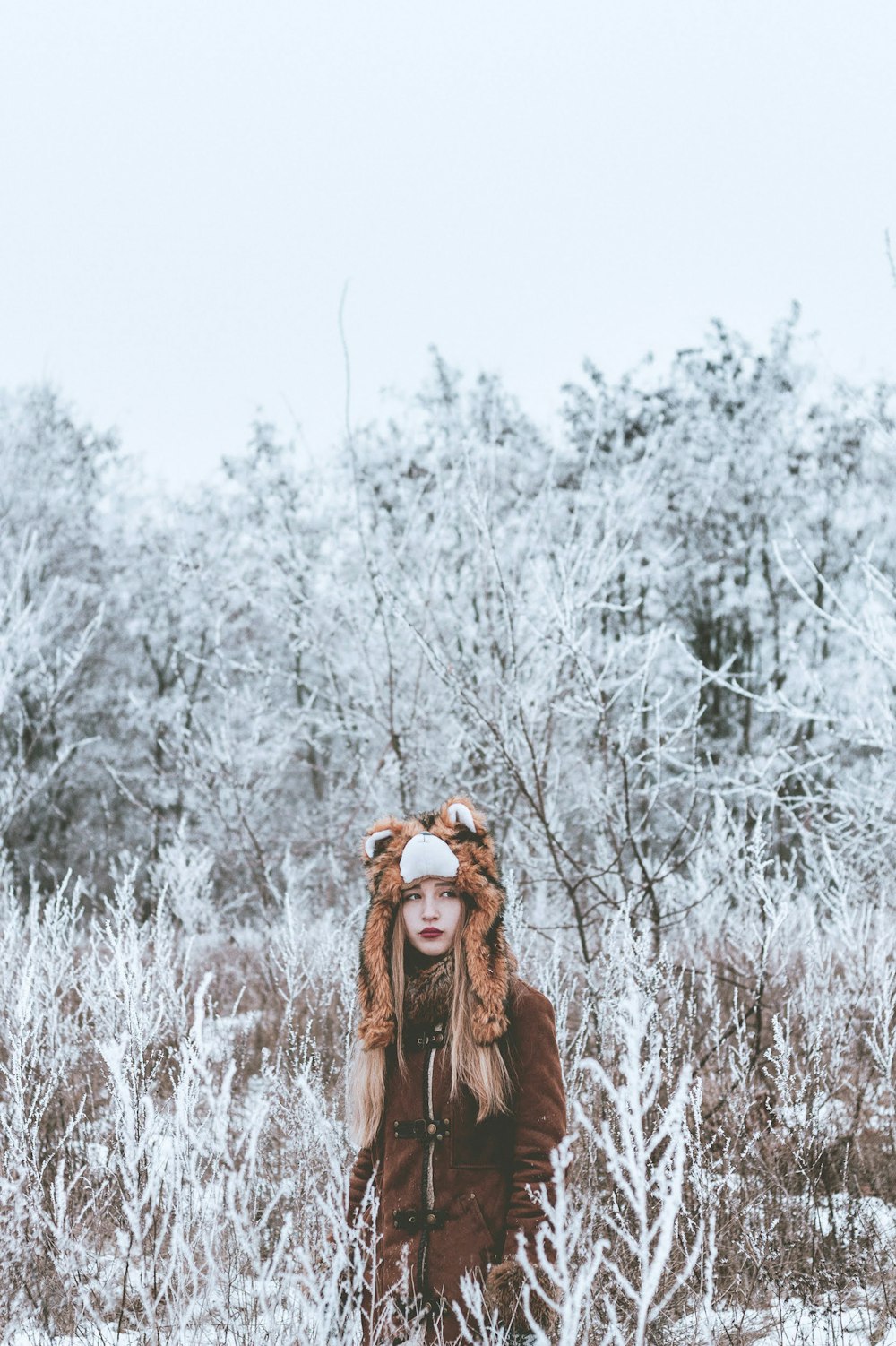 brown horse on snow covered field during daytime