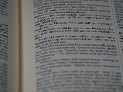 Pages of a book are open, displaying text with passages highlighted in bold. The content appears to be a narrative or dialogue, as it involves characters and possibly a storyline.