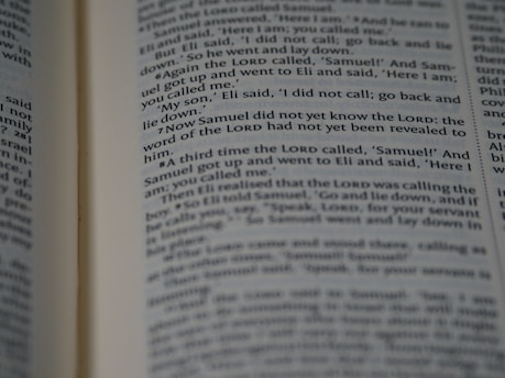Pages of a book are open, displaying text with passages highlighted in bold. The content appears to be a narrative or dialogue, as it involves characters and possibly a storyline.