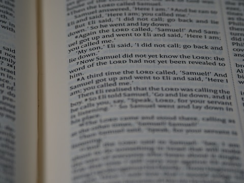 Pages of a book are open, displaying text with passages highlighted in bold. The content appears to be a narrative or dialogue, as it involves characters and possibly a storyline.