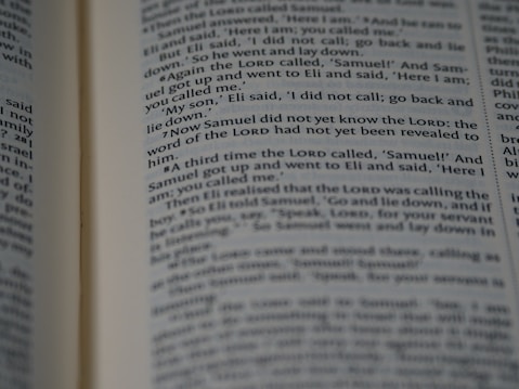 Pages of a book are open, displaying text with passages highlighted in bold. The content appears to be a narrative or dialogue, as it involves characters and possibly a storyline.