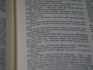 Pages of a book are open, displaying text with passages highlighted in bold. The content appears to be a narrative or dialogue, as it involves characters and possibly a storyline.