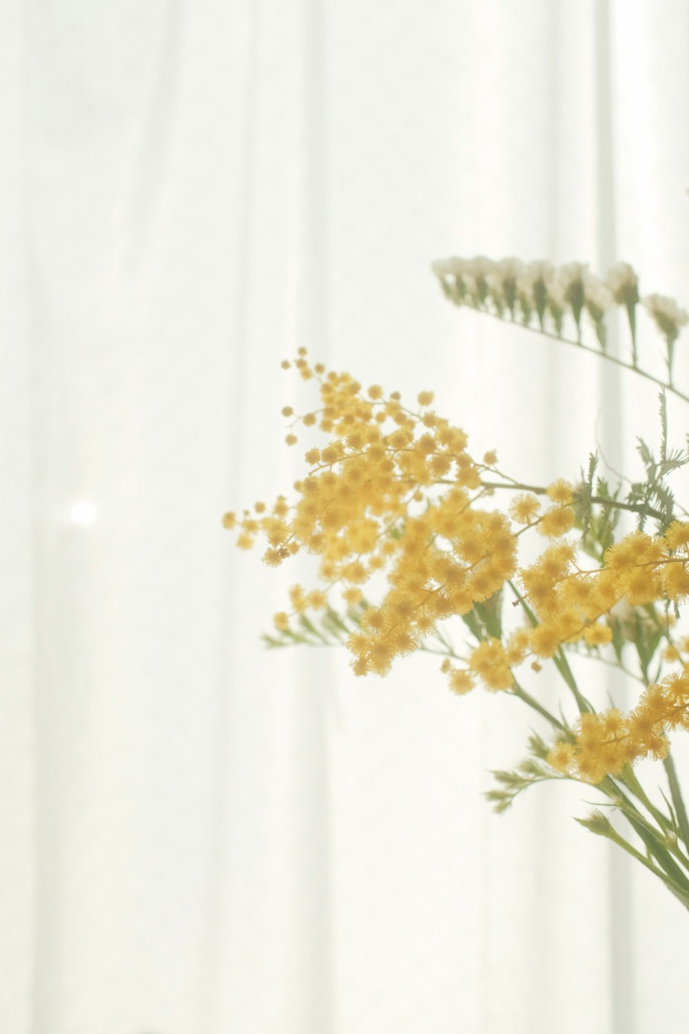 yellow and white flowers on white textile