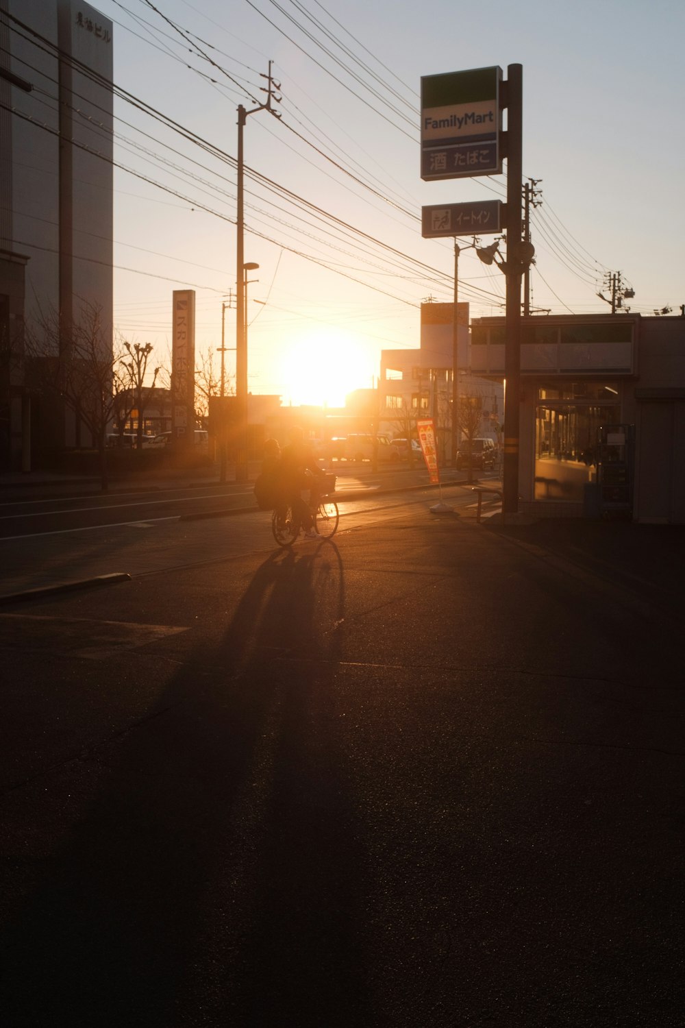 person riding bicycle on road during sunset
