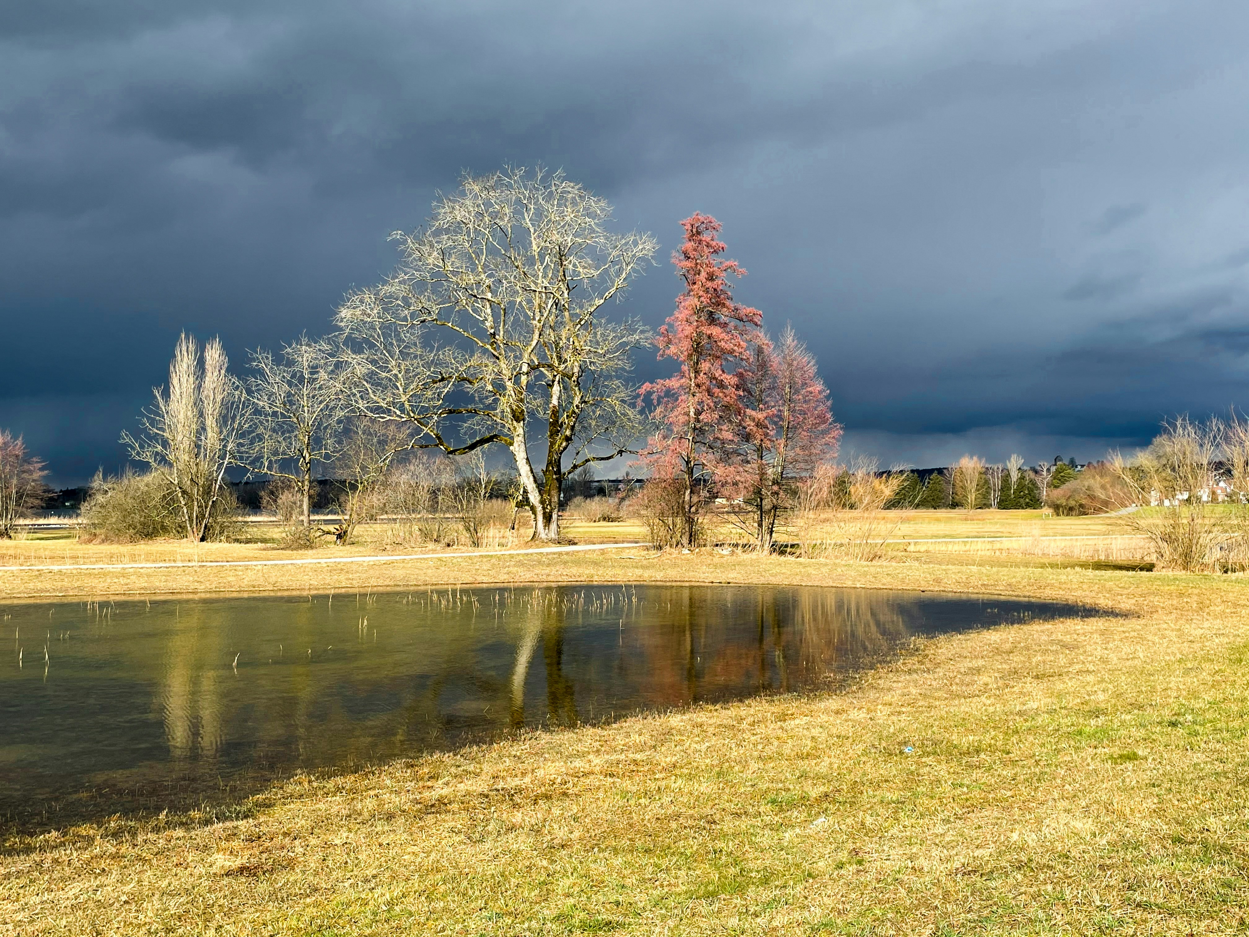 Quality Heavy-Duty Vehicle Parts Distributor