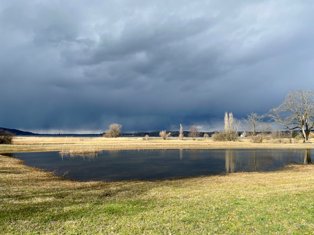 green grass field near body of water under white clouds during daytime