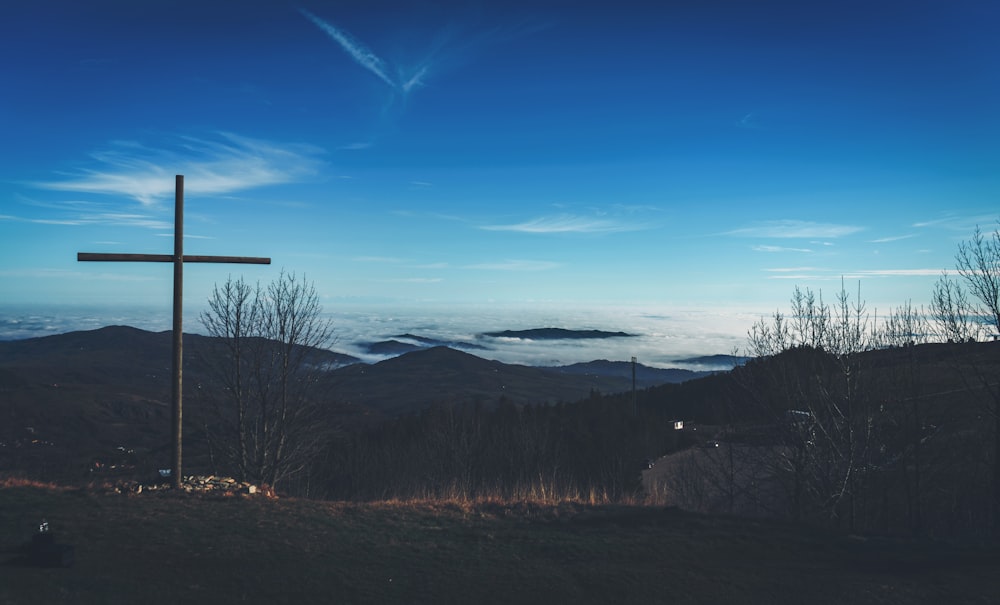 bare trees on mountain under blue sky during daytime