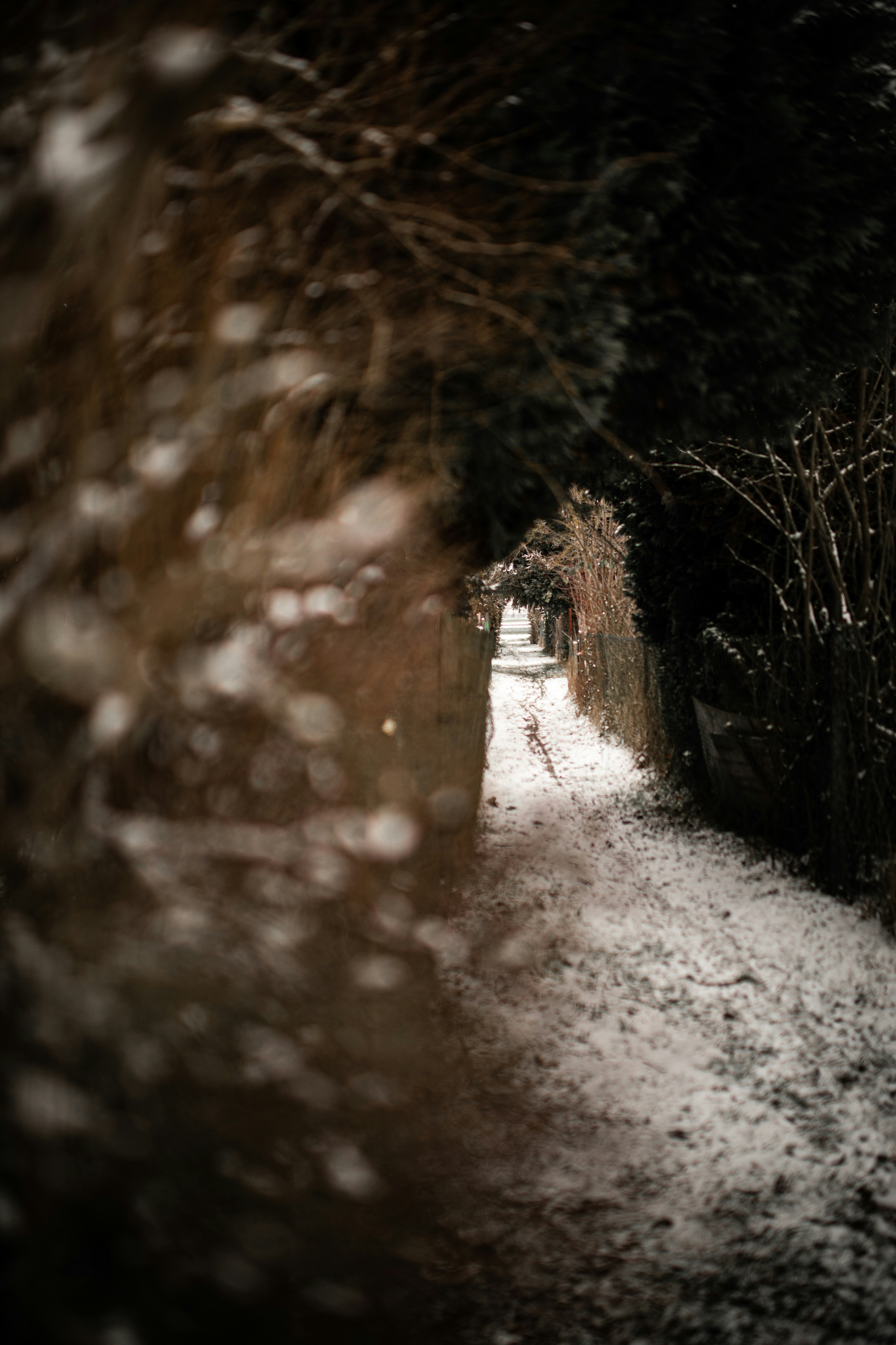 Photo by kajareichardtphotos