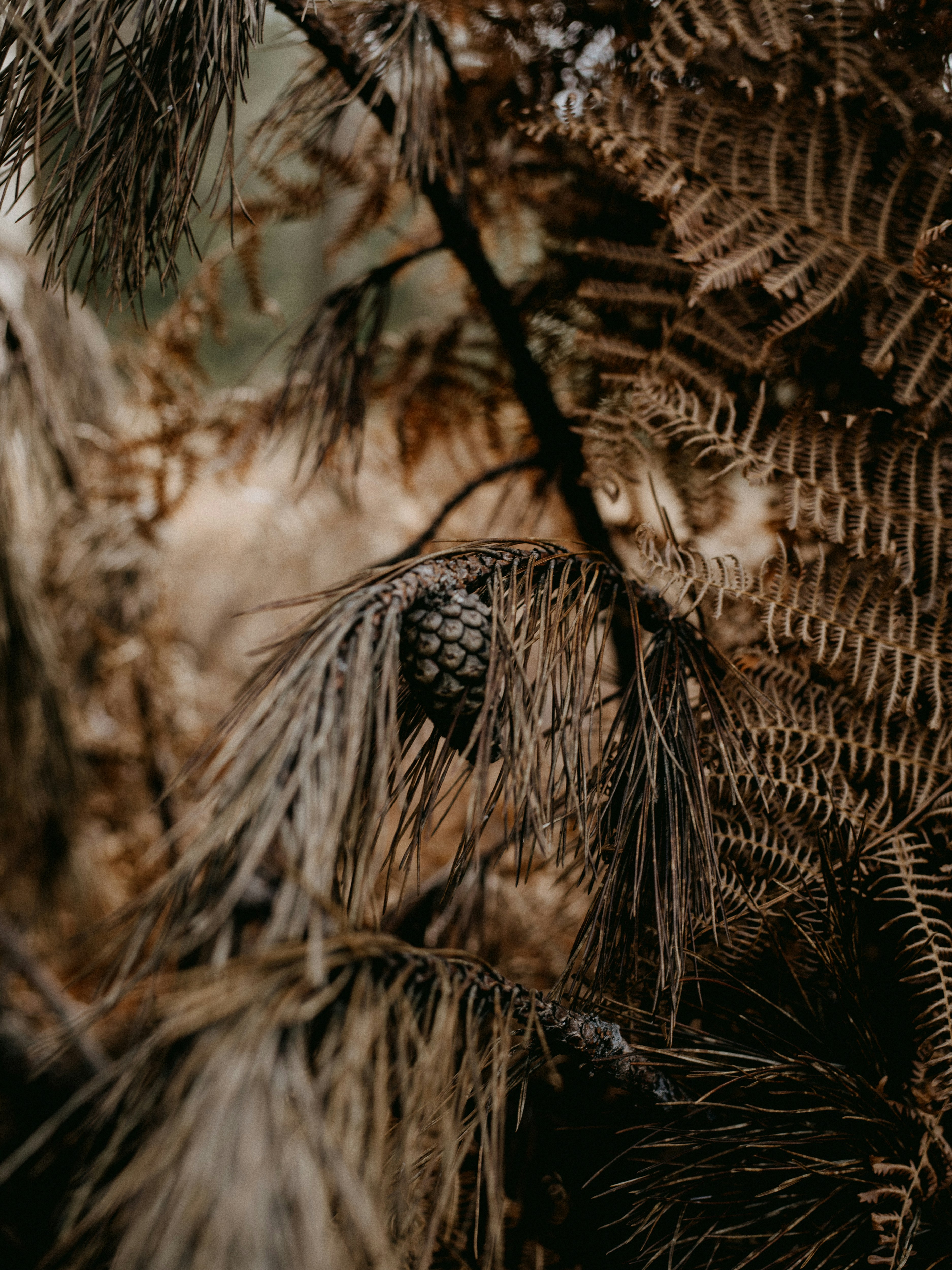 Photo by anniespratt