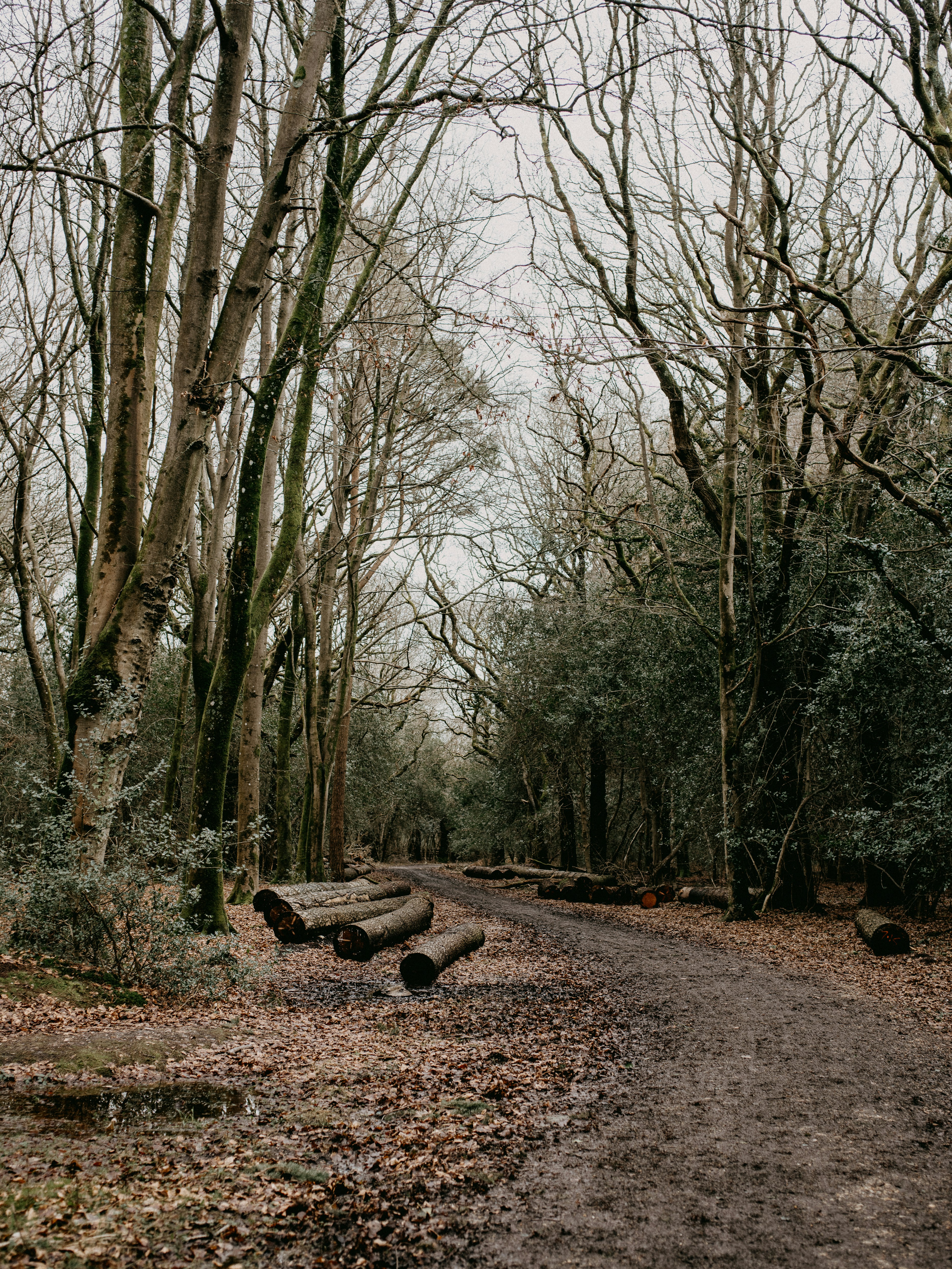 Photo by anniespratt