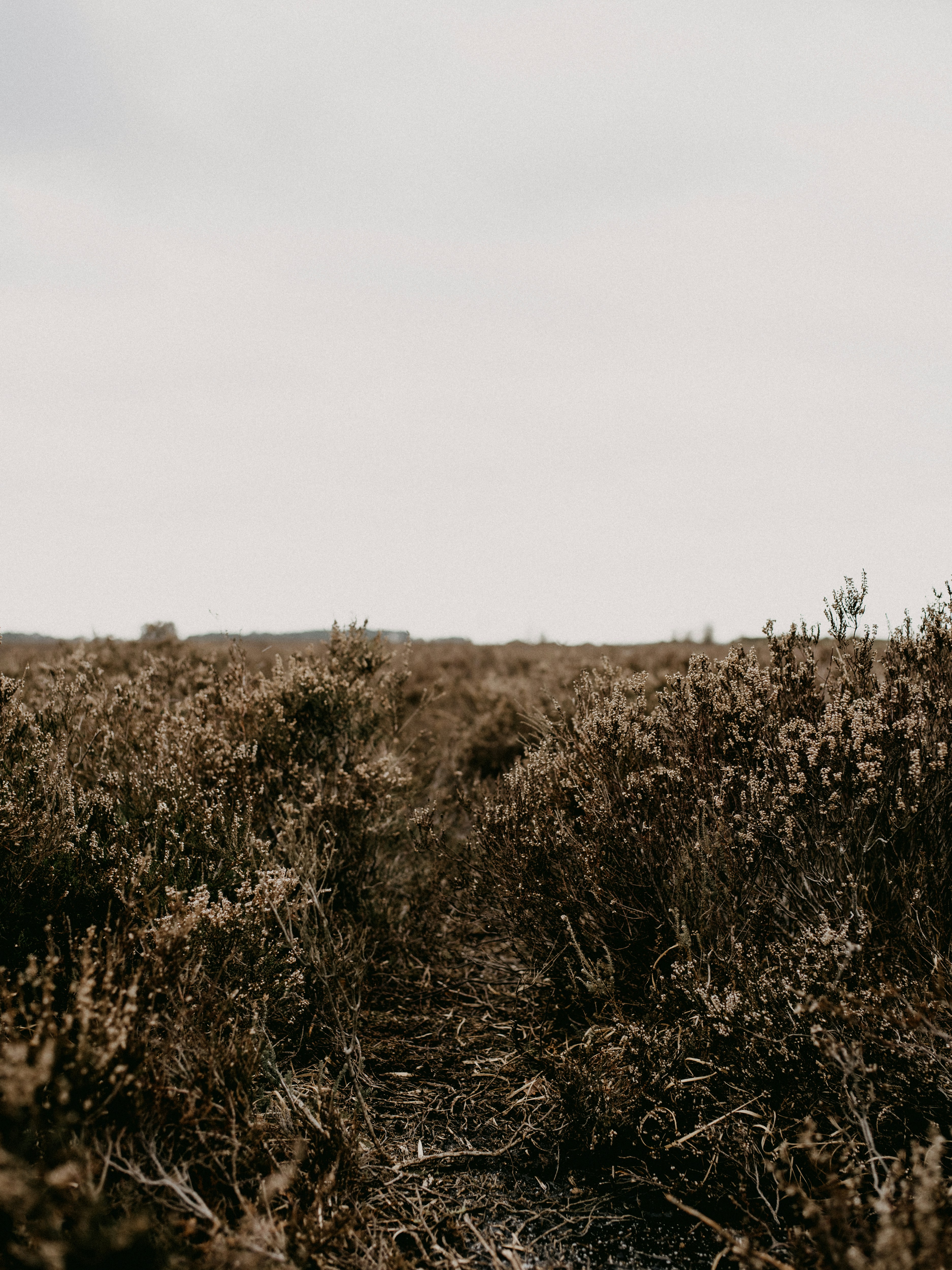 Photo by anniespratt