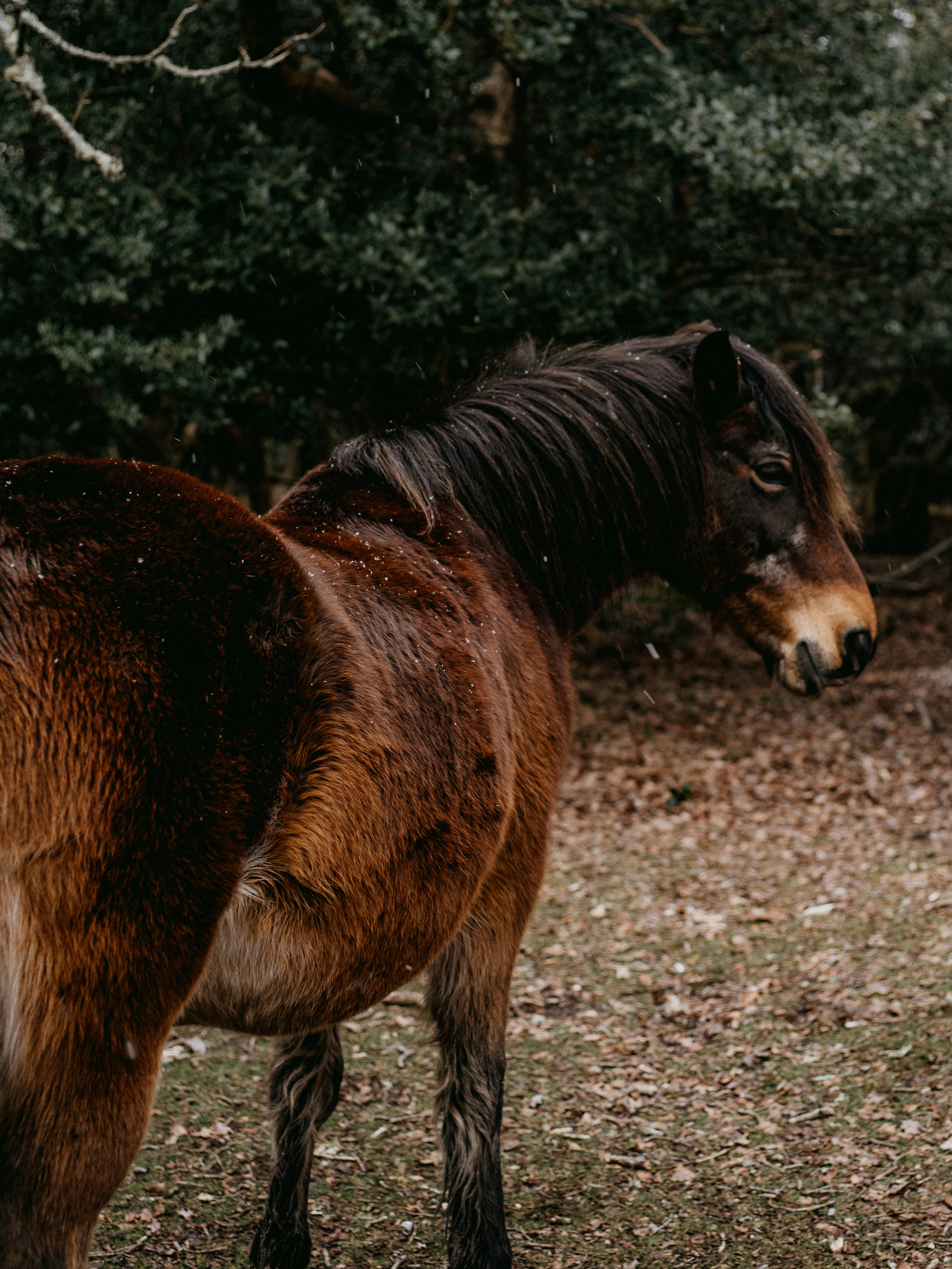 Photo by anniespratt