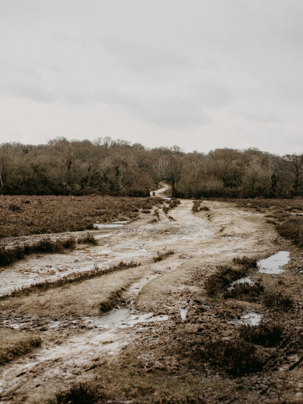 brown field under white sky during daytime