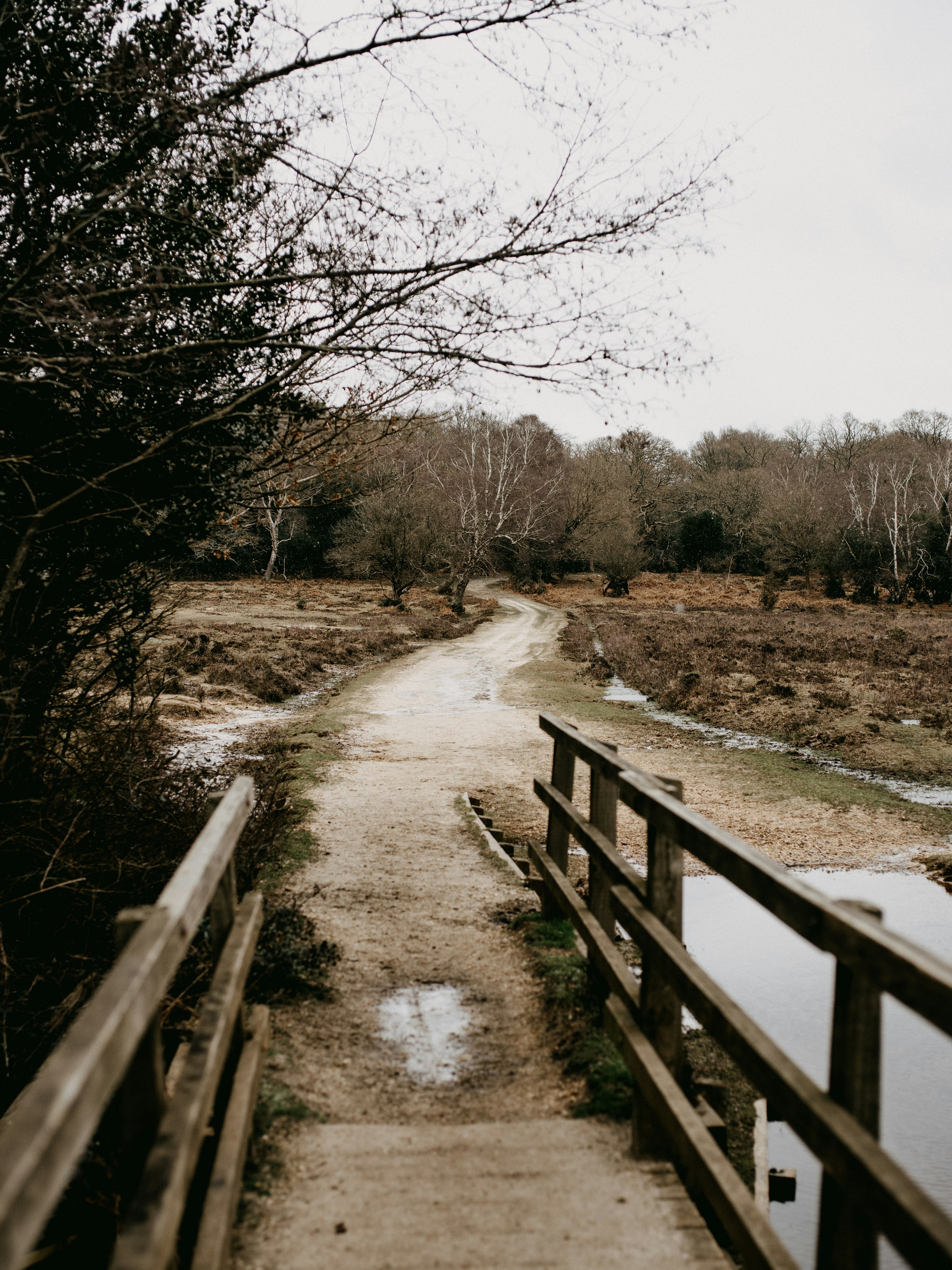 Photo by anniespratt