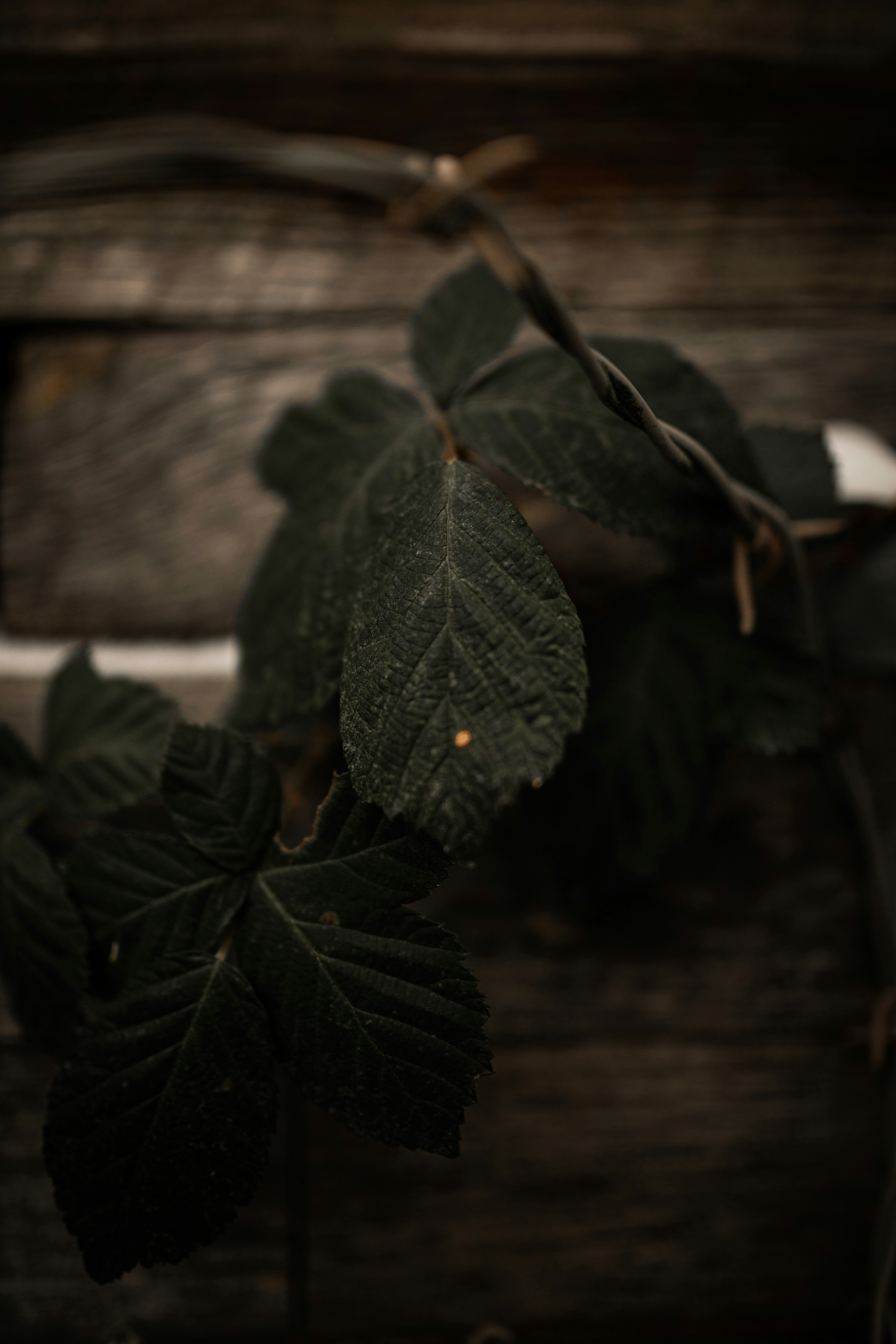 Photo by kajareichardtphotos