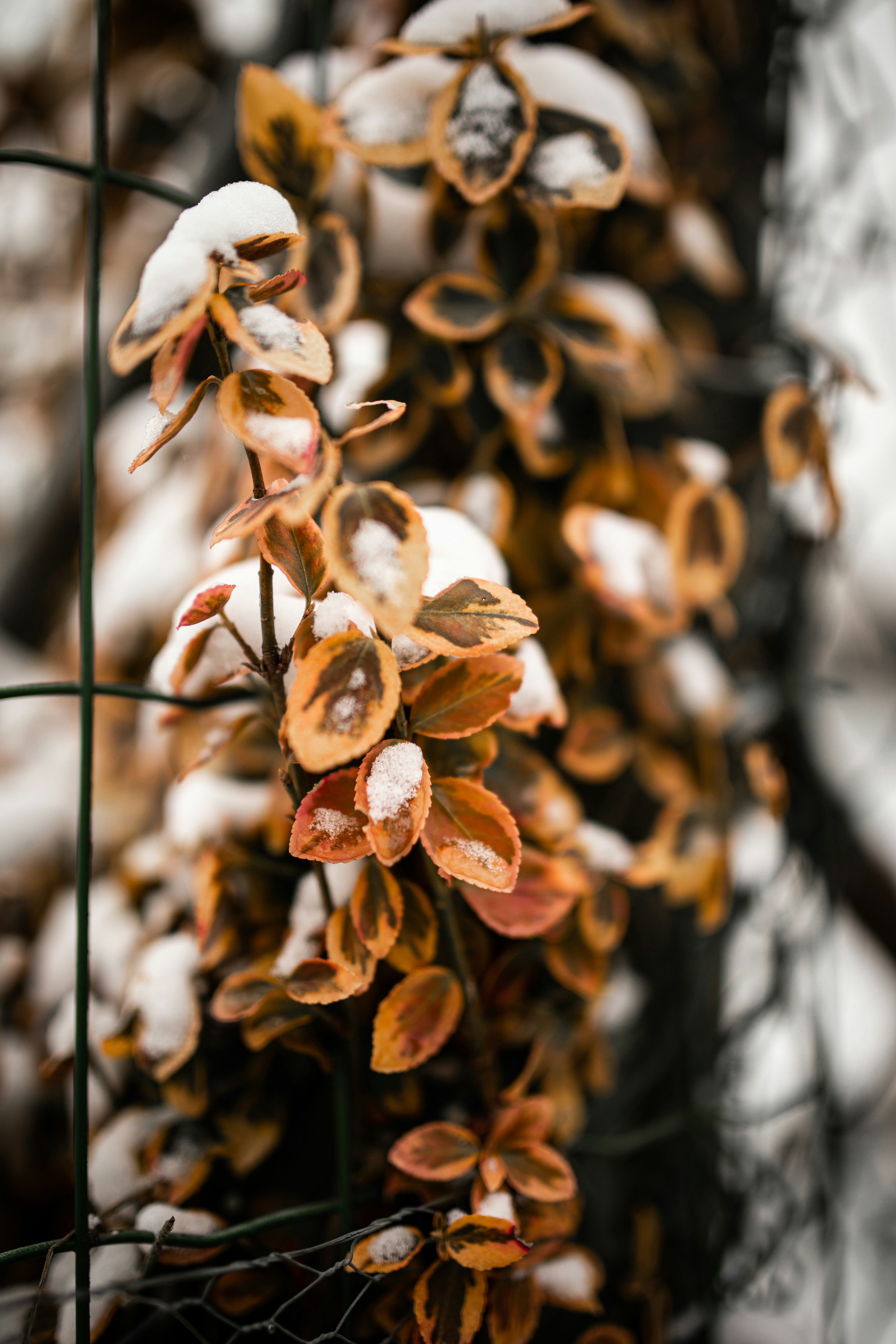 Photo by kajareichardtphotos