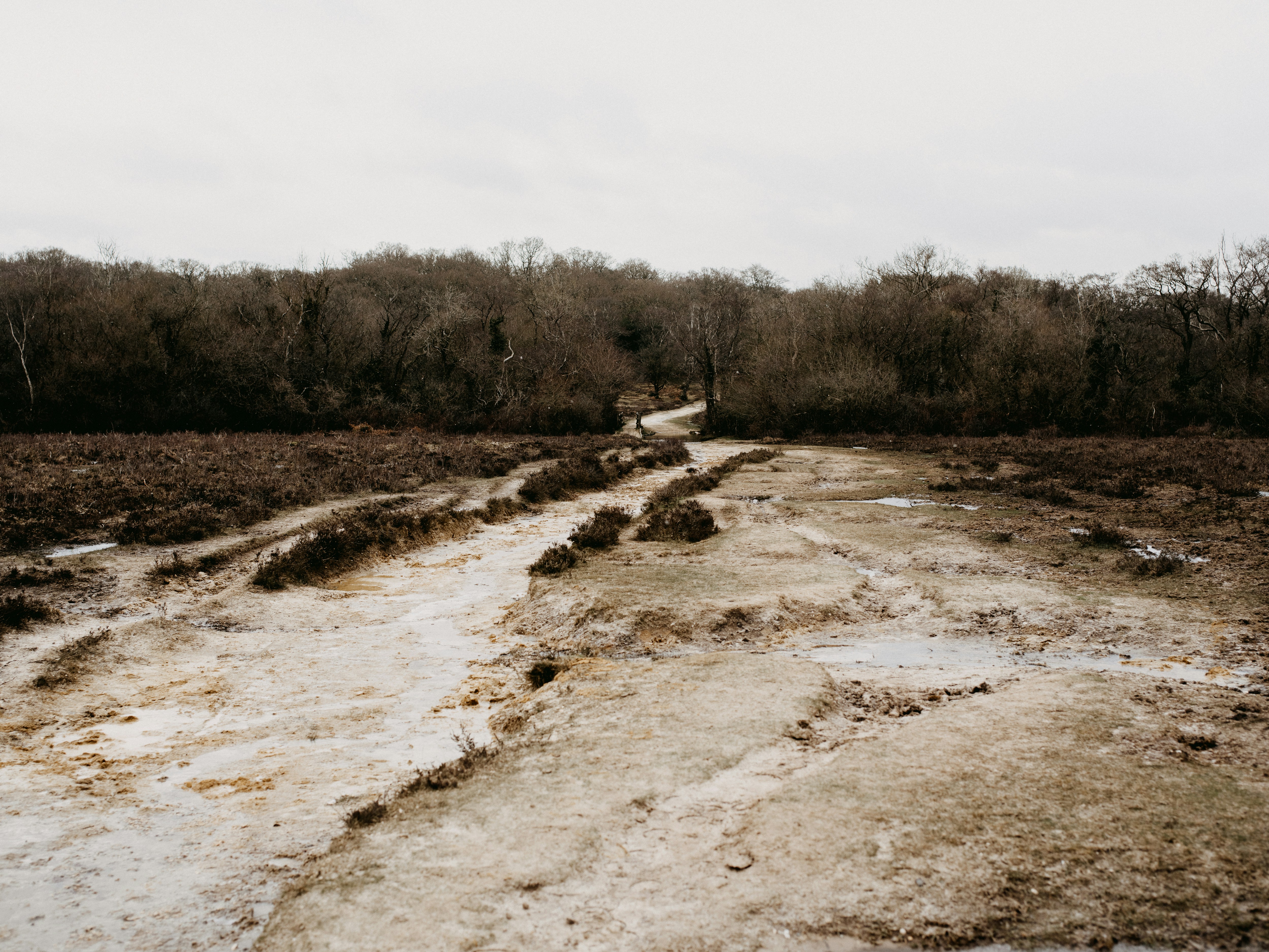 Photo by anniespratt