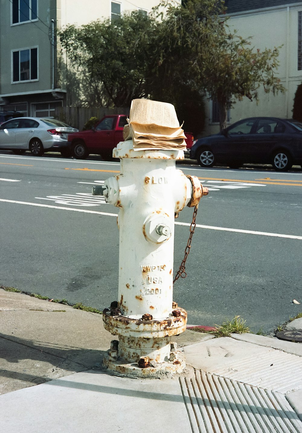 灰色のコンクリート道路の白い消火栓