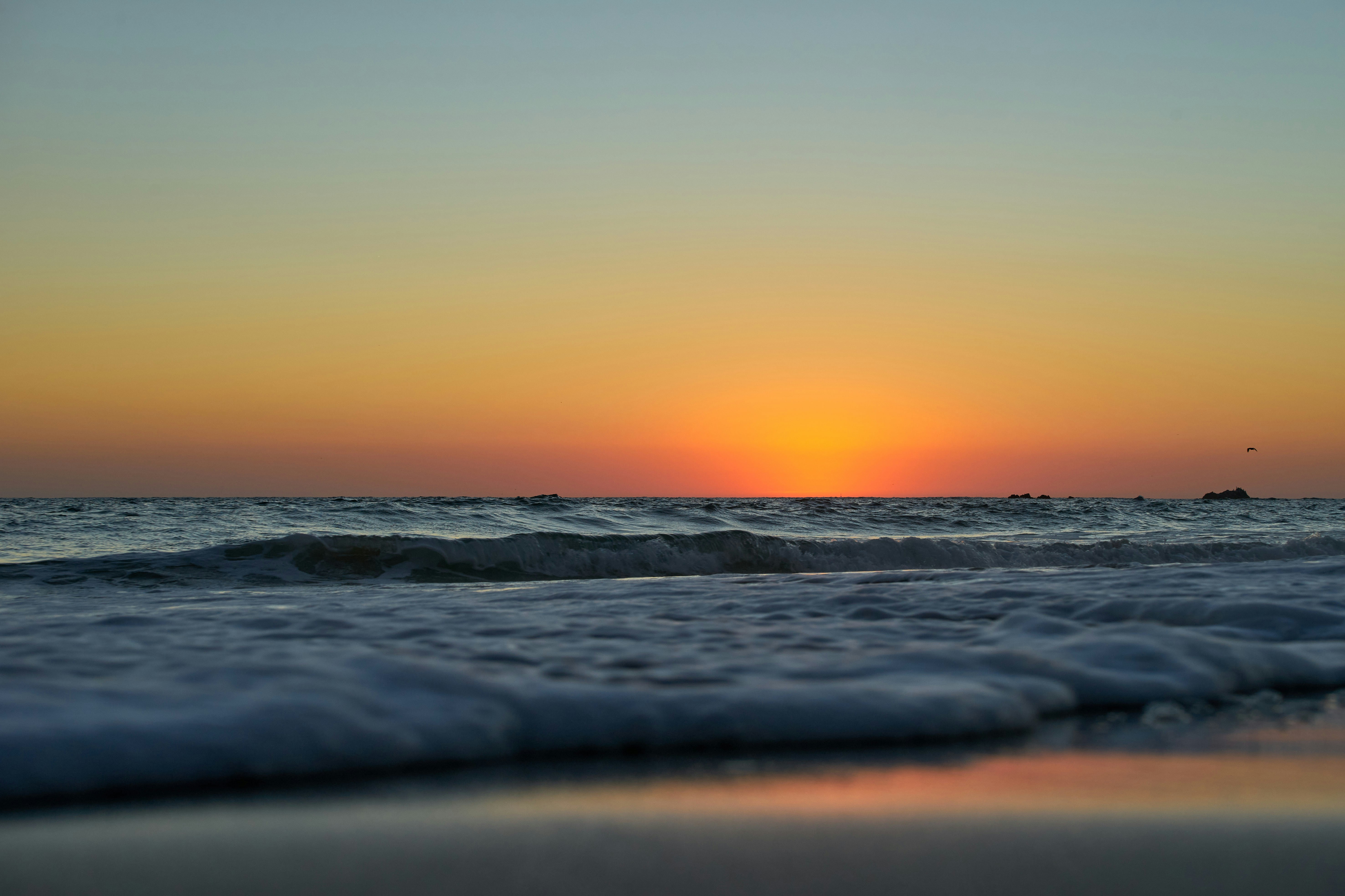 Photo by wolfgang_hasselmann