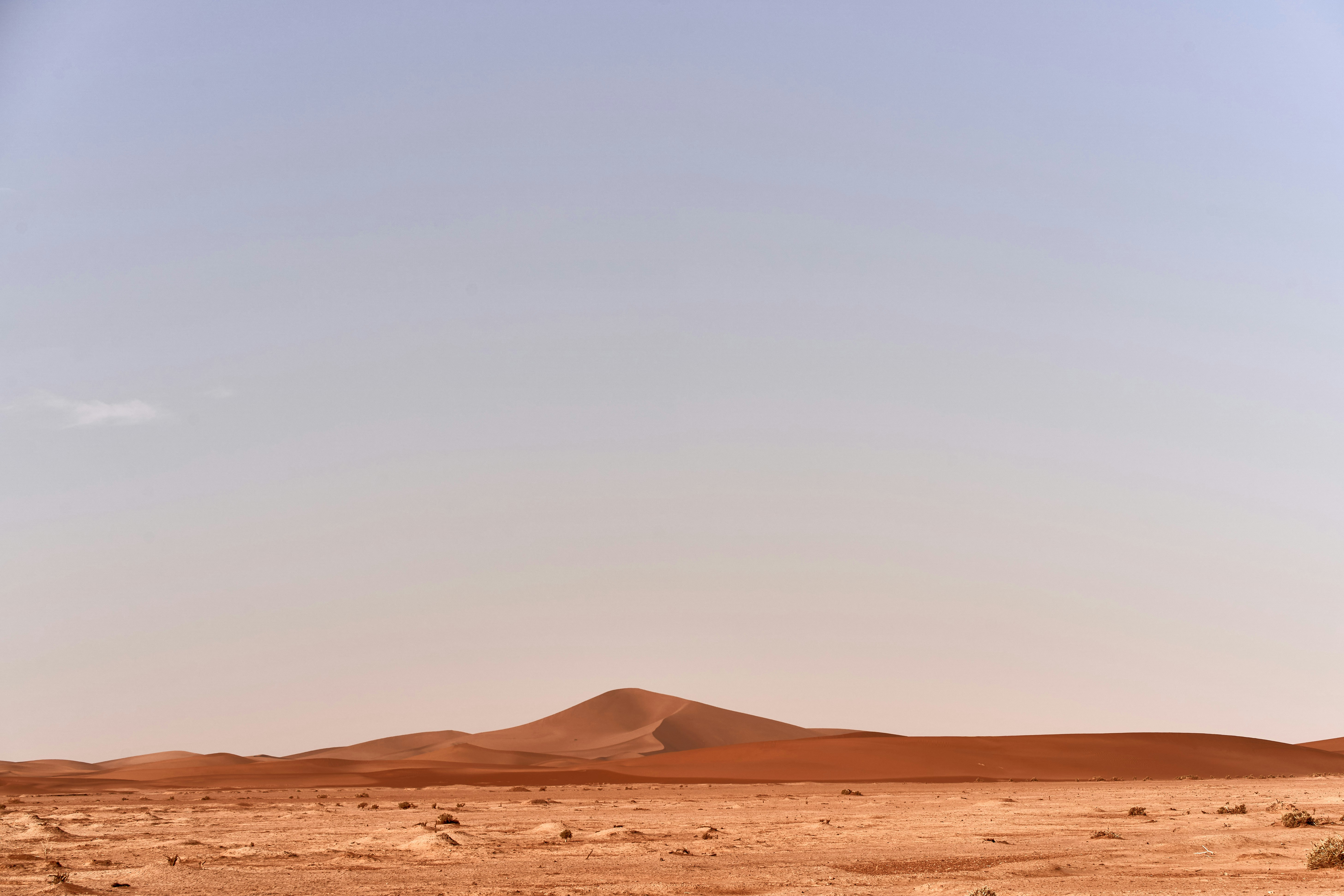 Photo by wolfgang_hasselmann