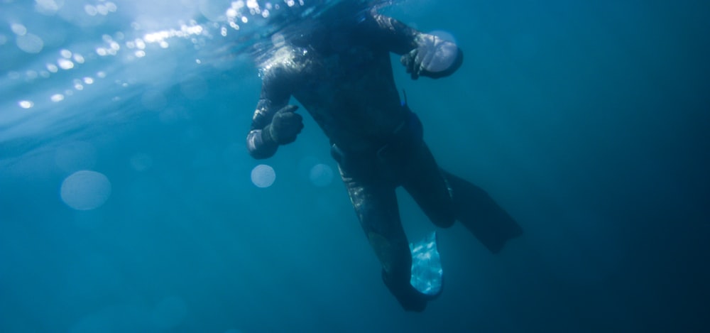 man in black wet suit under water