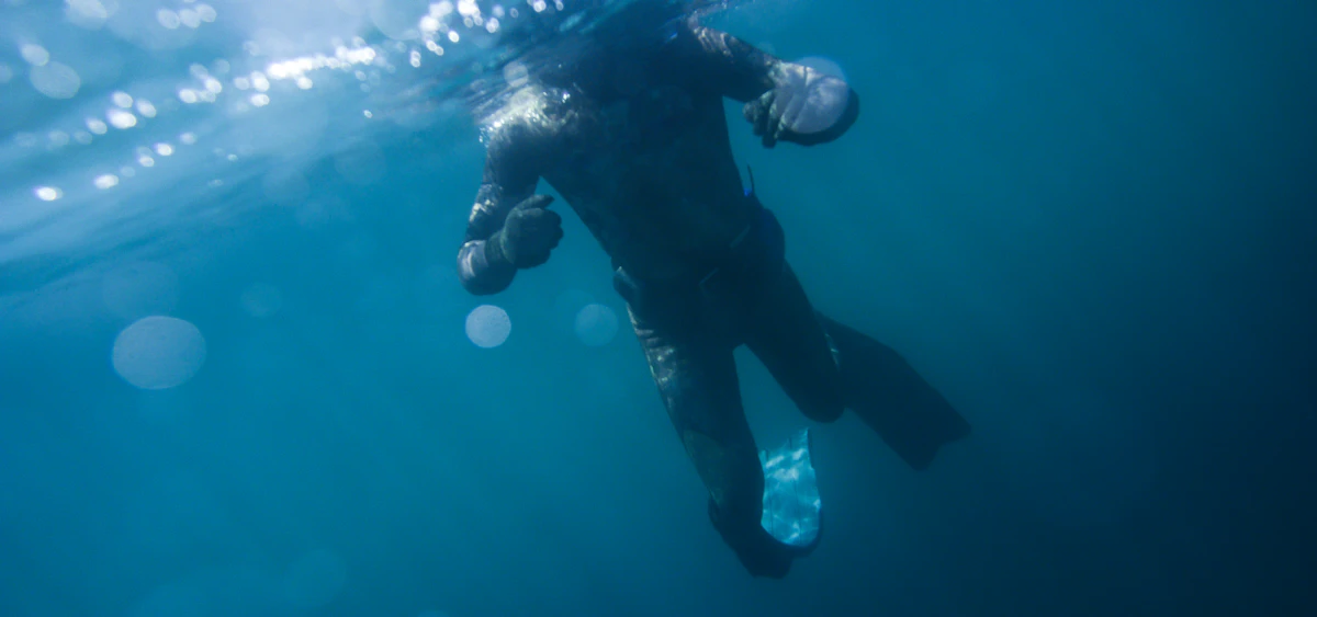 Freediver in a black wetsuit underwater