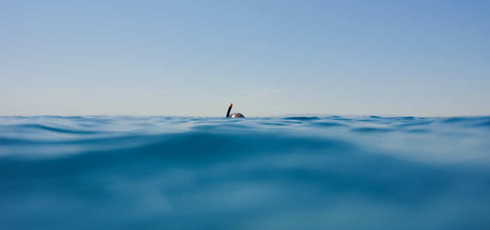 person surfing on blue sea during daytime