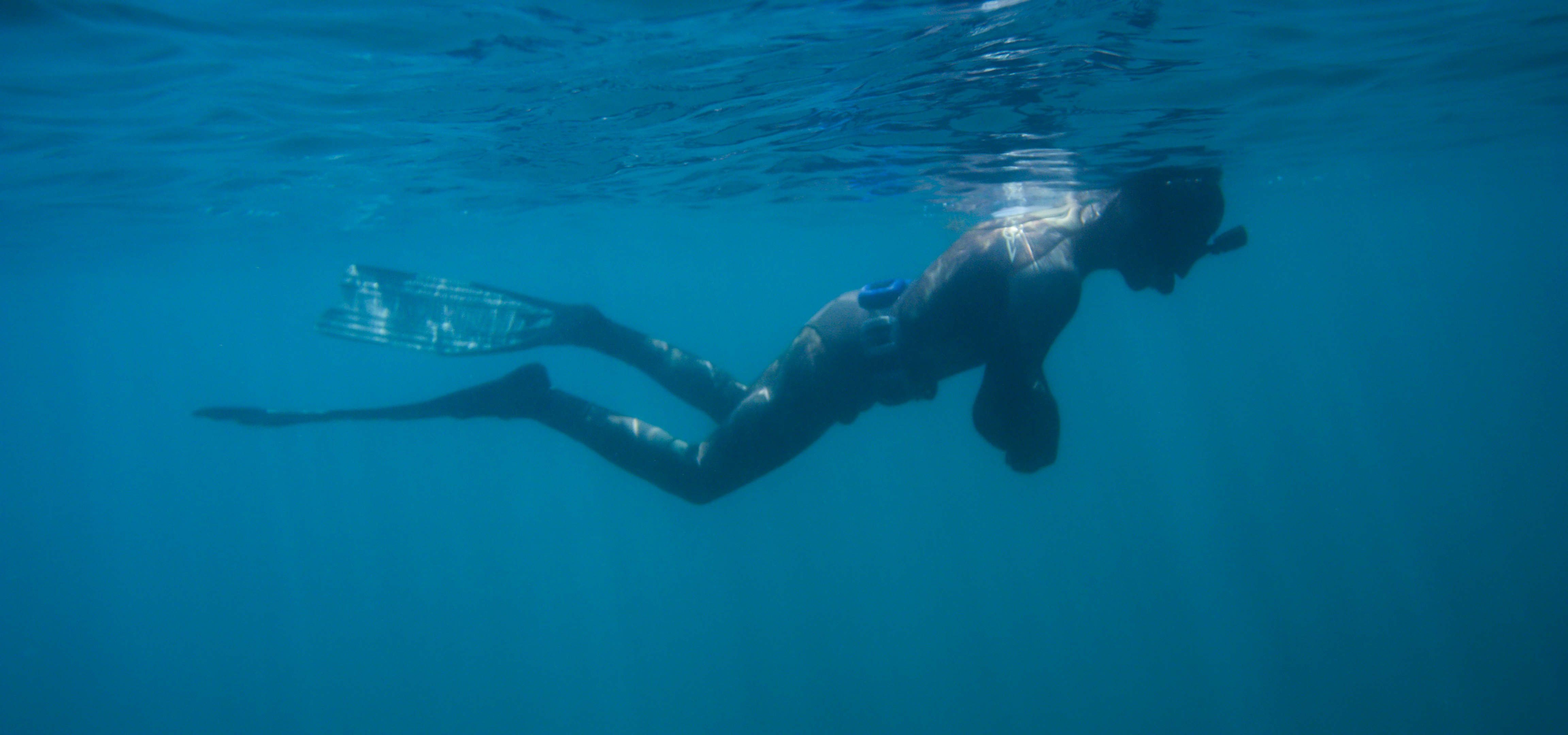 man in black shorts swimming in water, Free Diving.