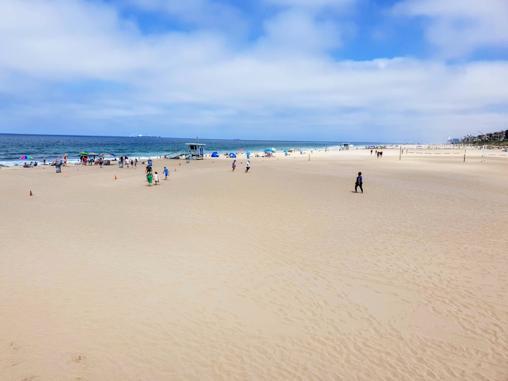 people on beach during daytime