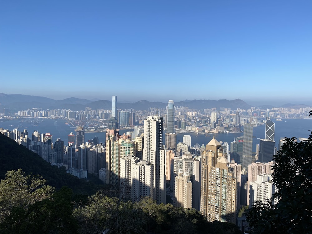 city skyline under blue sky during daytime