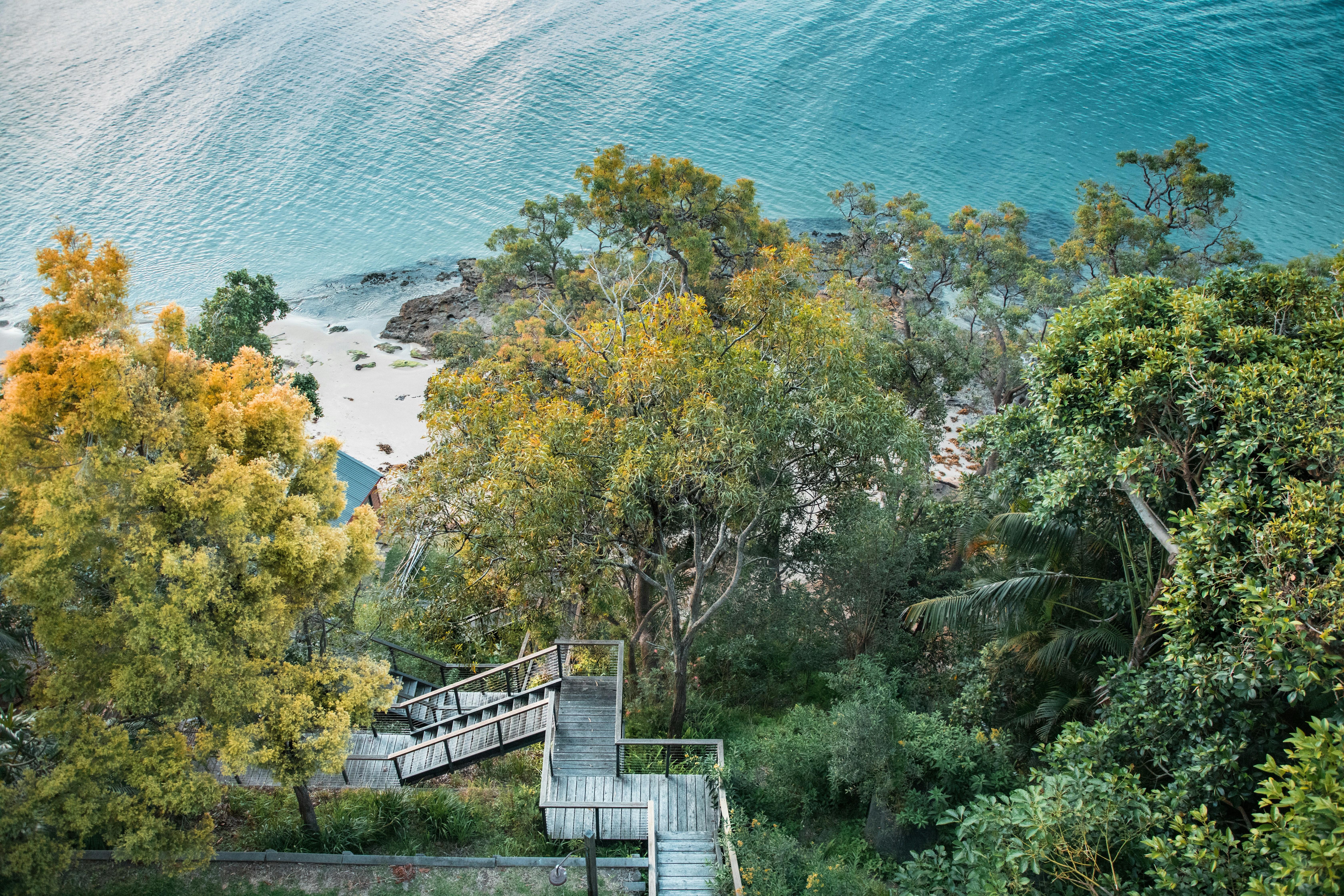 green trees near body of water during daytime