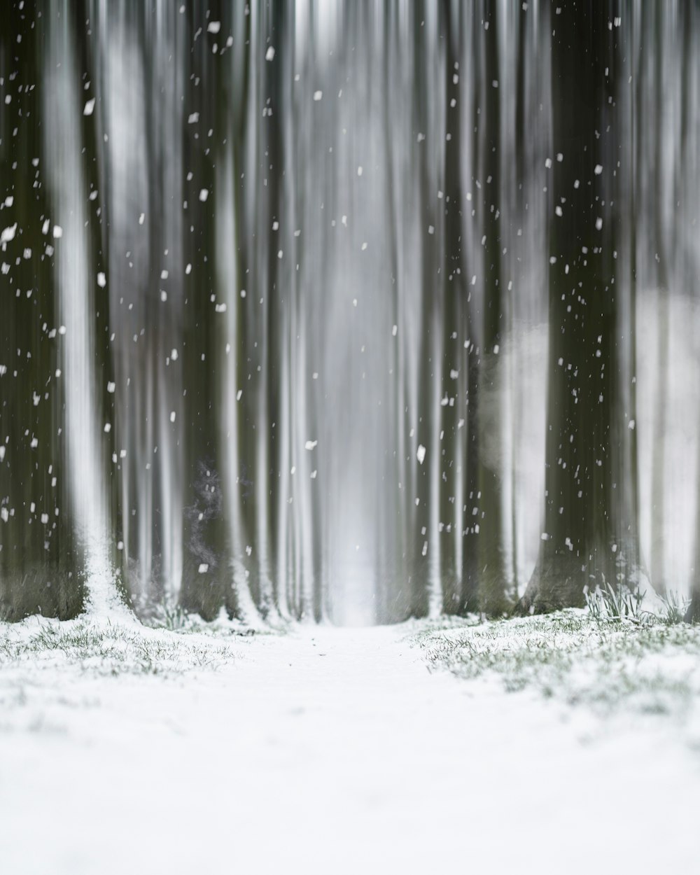 Weißer Schnee auf weißer Oberfläche