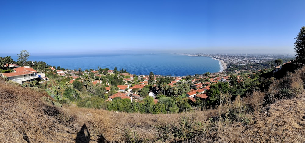 houses near body of water during daytime