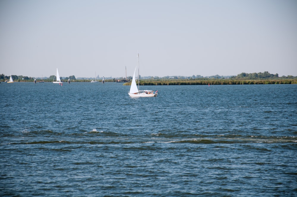 weißes Segelboot tagsüber auf See