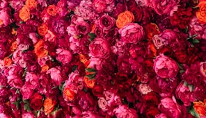 pink and red roses bouquet