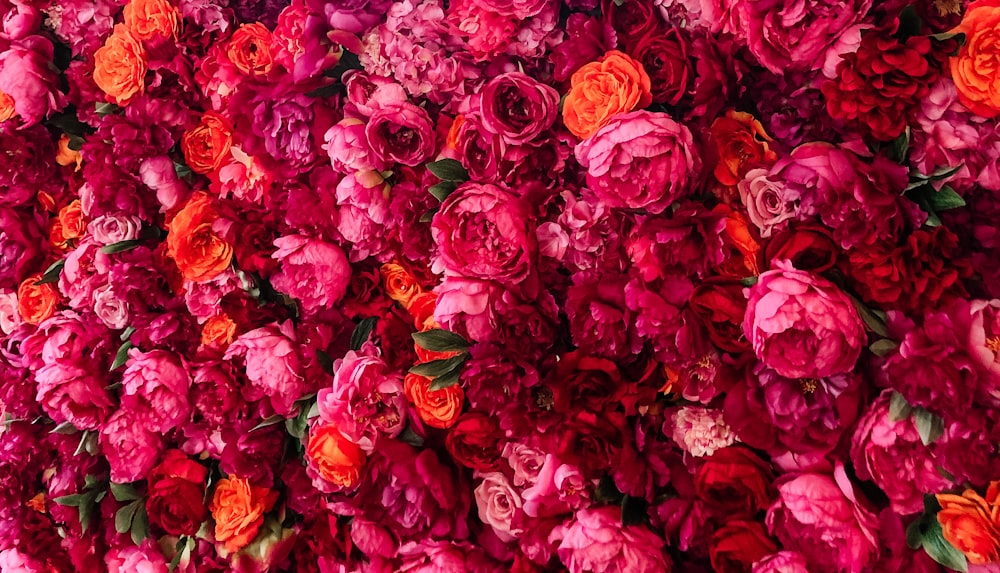 pink and red roses bouquet