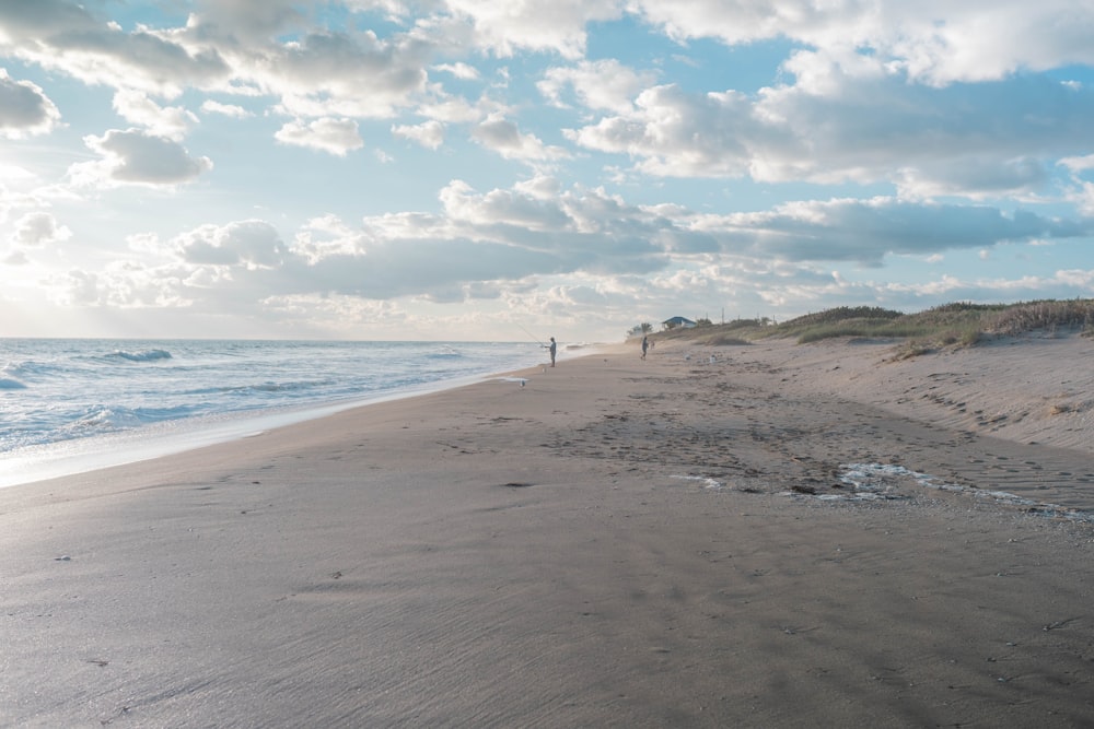 people on beach during daytime