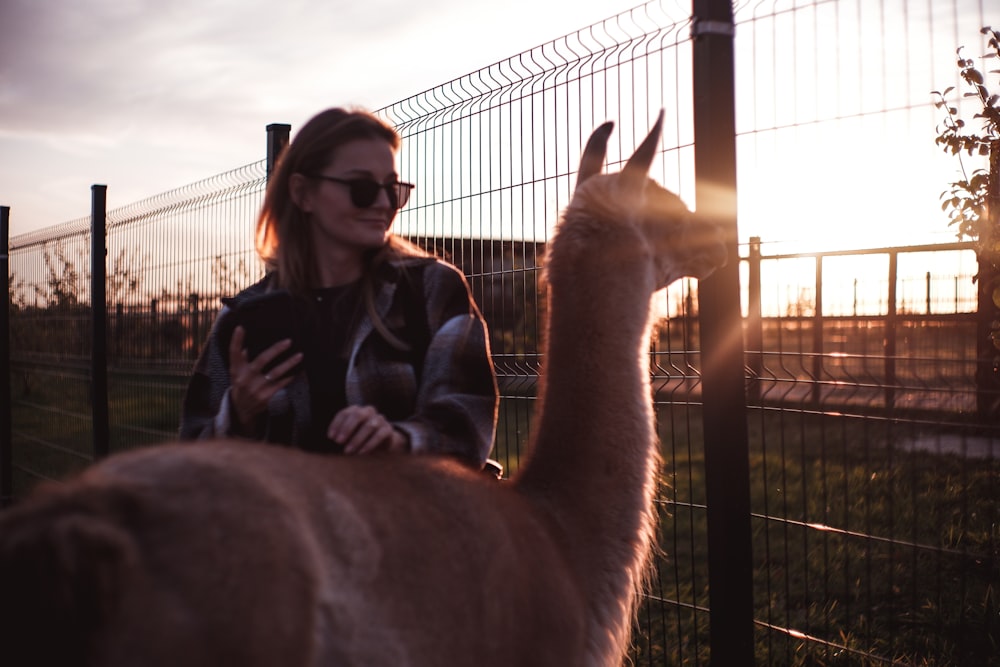 woman in black jacket standing beside brown horse during night time