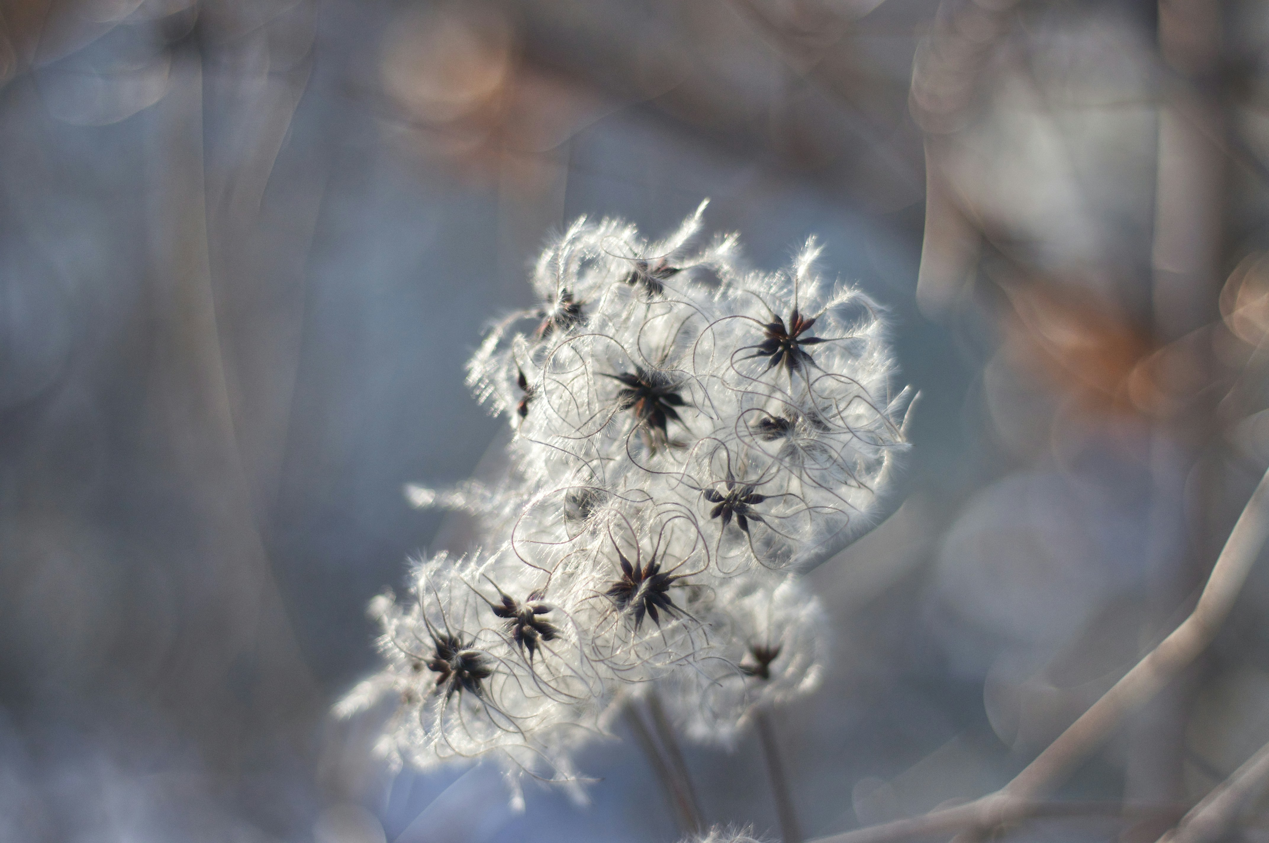 Photo by felicewoelke