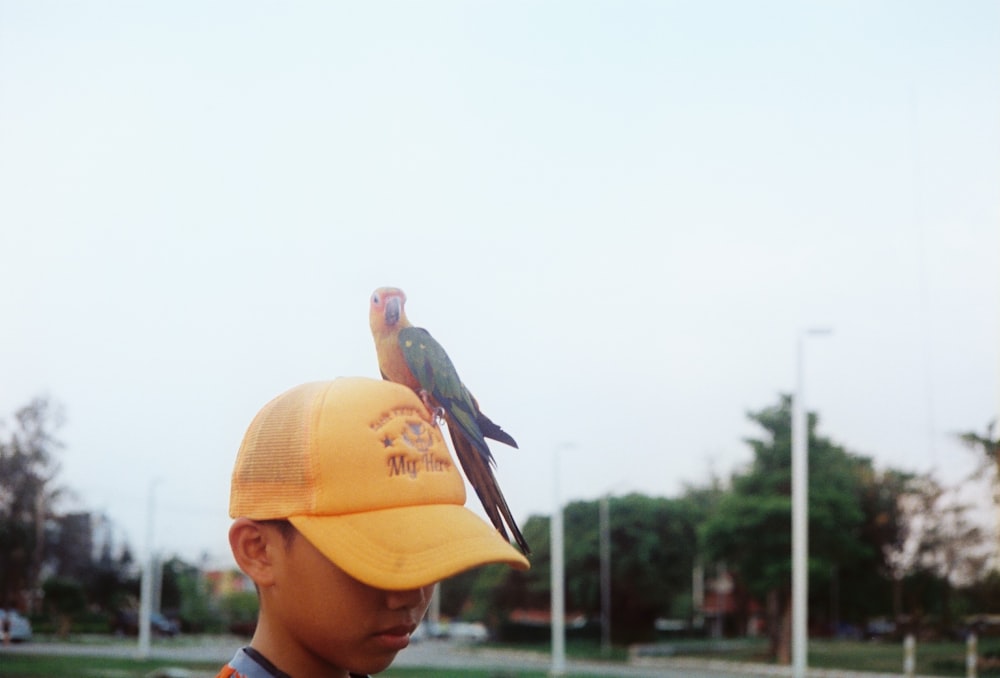 black bird on yellow hat